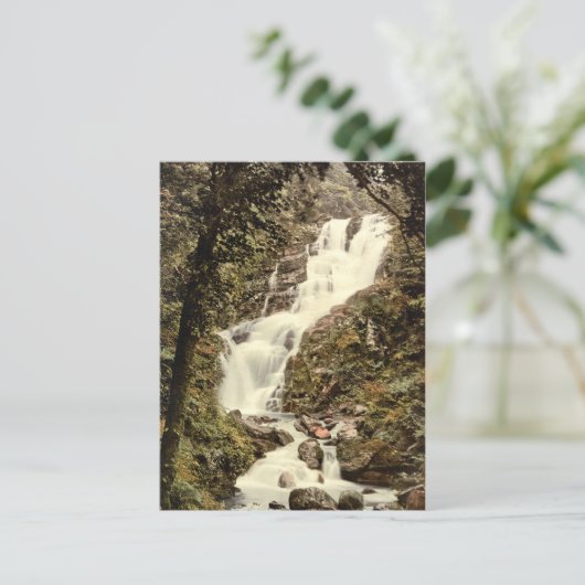 Torc Cascade, Killarney, County Kerry Briefkaart (Staand voorkant)