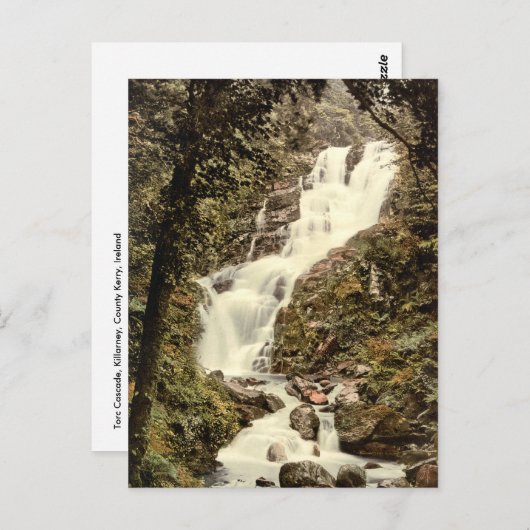 Torc Cascade, Killarney, County Kerry Briefkaart (Voorkant / Achterkant)
