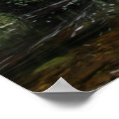 Torc Waterfall Bridge Poster (Hoek)