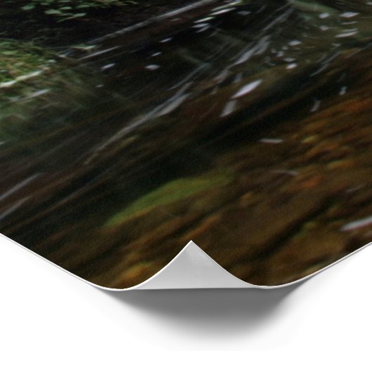 Torc Waterfall Bridge Poster (Hoek)
