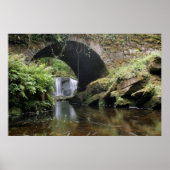 Torc Waterfall Bridge Poster (Voorkant)