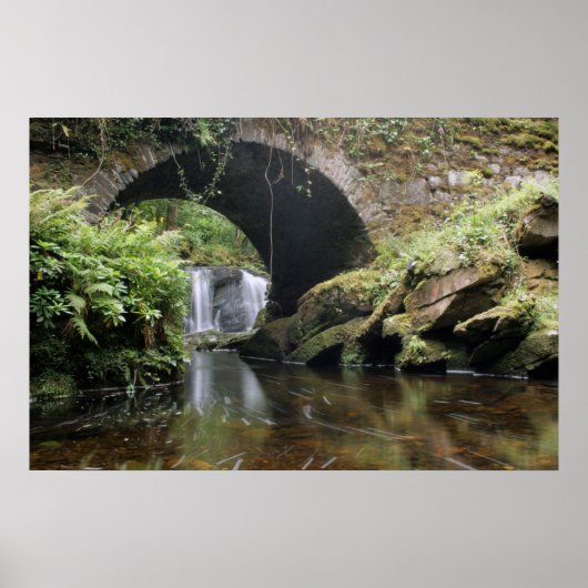 Torc Waterfall Bridge Poster (Voorkant)