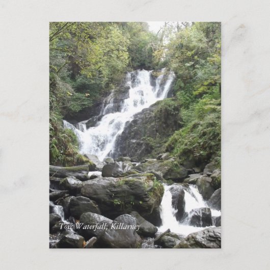 Torc Waterfall, Killarney. Ierland Briefkaart (Voorkant)
