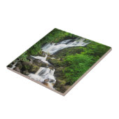 Torc waterfall schilderachtig, Ierland Tegeltje (Zijkant)