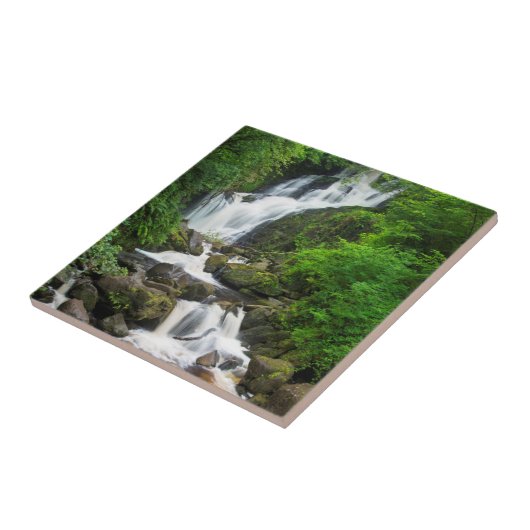 Torc waterfall schilderachtig, Ierland Tegeltje (Zijkant)