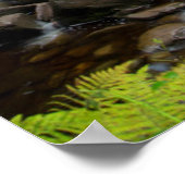 Torc waterval landschap, Ierland Poster (Hoek)
