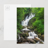 Torc-waterval landschappelijk, Ierland Briefkaart (Voorkant / Achterkant)