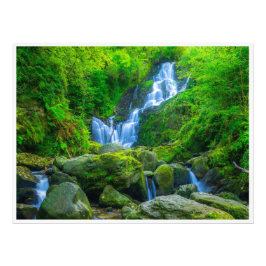 Torc Waterval Wandkunst | Killarney Park Ierland Foto Afdruk