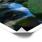 Torc-watervalposter | Killarney Park Ierland Perfect Poster (Hoek)