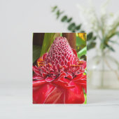 Torch Ginger Briefkaart (Staand voorkant)