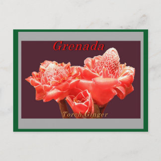 Torch Ginger Briefkaart