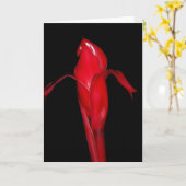 Torch Ginger Kaart (Gele Bloem)