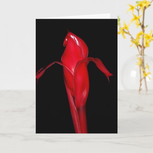 Torch Ginger Kaart (Gele Bloem)