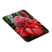 Torch Ginger Magneet (Rechterzijde)