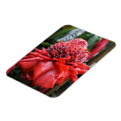 Torch Ginger Magneet (Linkerzijde)
