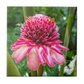 Torch Ginger tropische bloem Tegeltje (Voorkant)
