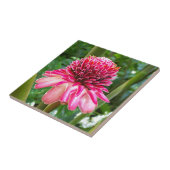 Torch Ginger tropische bloem Tegeltje (Zijkant)