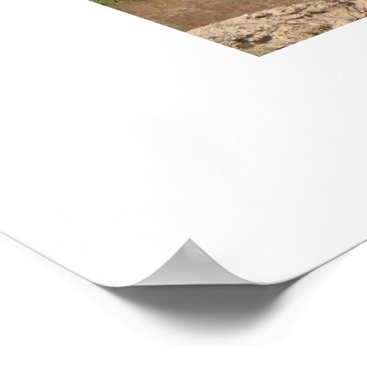 Torch Lake, Michigan Poster (Hoek)