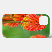 Torch Lily (Knifofia Uvaria), Westerne cape Case-Mate iPhone Case (Achterkant (horizontaal))