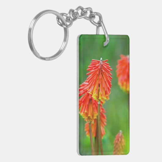 Torch Lily (Knifofia Uvaria), Westerne cape Sleutelhanger (Voorkant Links)