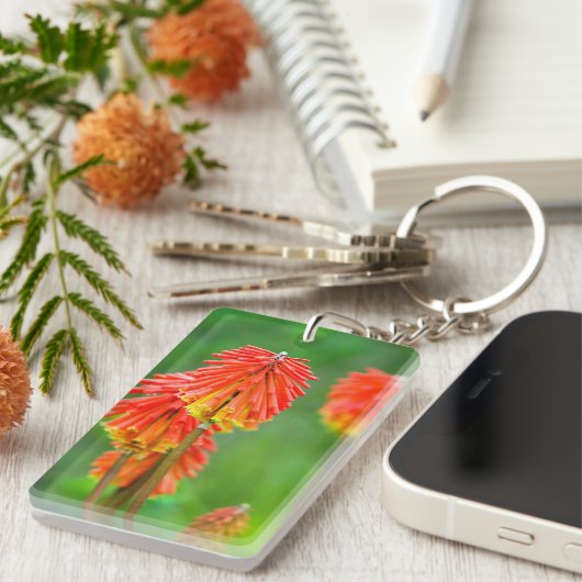 Torch Lily (Knifofia Uvaria), Westerne cape Sleutelhanger (Voorkant Rechts)