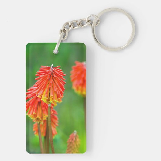 Torch Lily (Knifofia Uvaria), Westerne cape Sleutelhanger (achterkant)