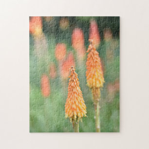 Torch Lily Red Hot Poker Flower Natuur Fotografie Legpuzzel