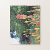 Torch Lily Red Hot Poker Flower Natuur Fotografie Legpuzzel (Verticaal)