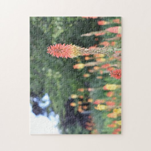 Torch Lily Red Hot Poker Flower Natuur Fotografie Legpuzzel (Verticaal)