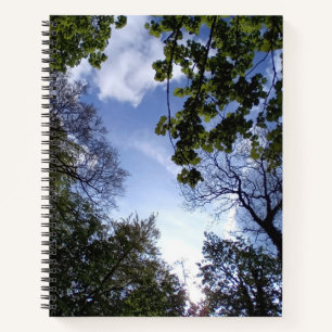 Torenhoge bomen - onderdeel van de boomserie notitieboek