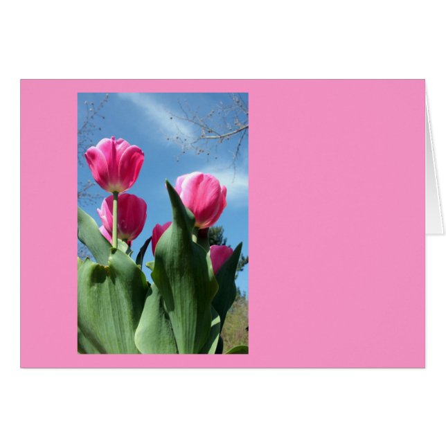 torenhoge tulpen (Voorkant Horizontaal)