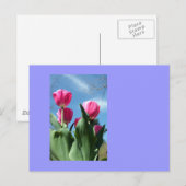 torenhoge tulpen briefkaart (Voorkant / Achterkant)