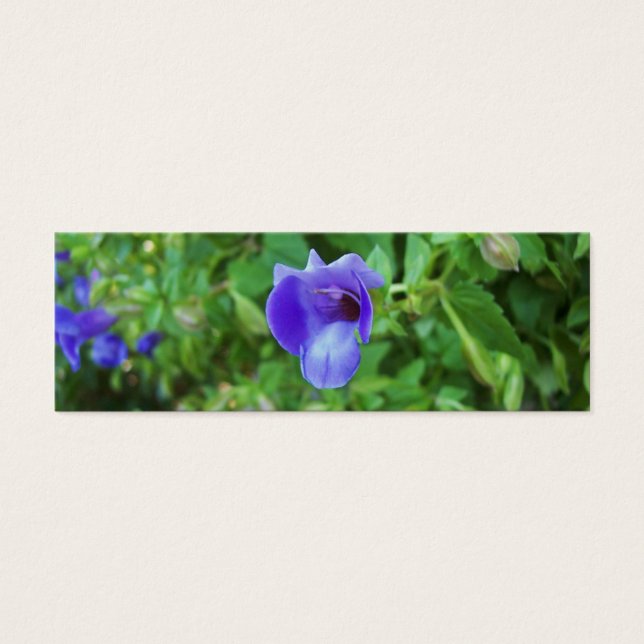 Torenia Bladwijzer Mini Visitekaartjes (Voorkant)