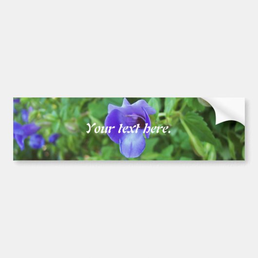 Torenia Bumpersticker (Voorkant)