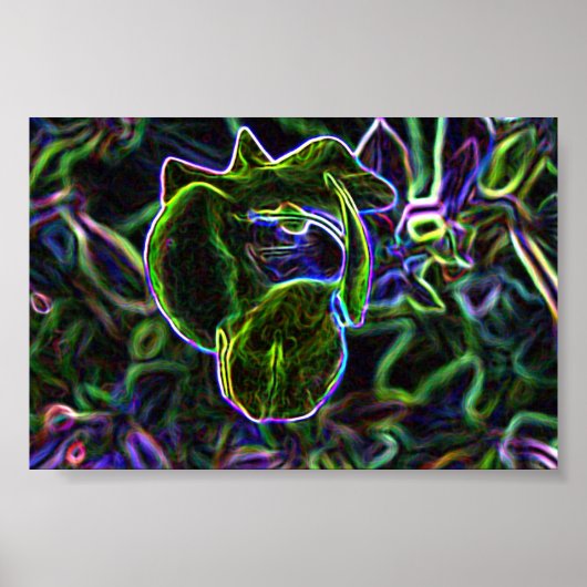 Torenia Edited Poster (Voorkant)