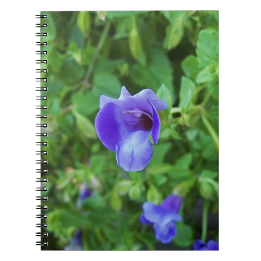 Torenia Notitieboek (Voorkant)