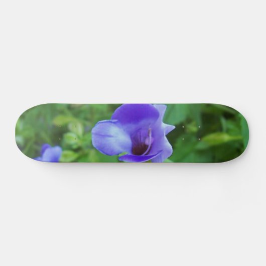 Torenia Skateboard (Horizontaal)