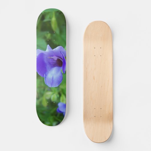 Torenia Skateboard (Voorkant)