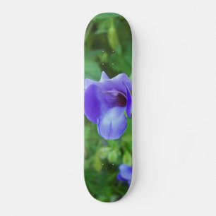 Torenia Skateboard