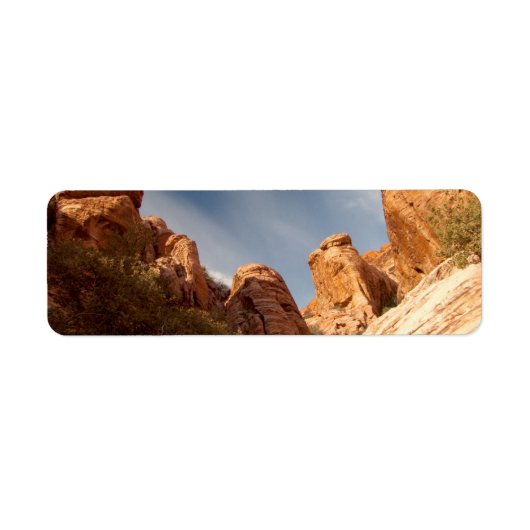 Torens van Red Rock Etiket (Voorkant)