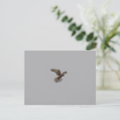 Torenvalk Briefkaart (Staand voorkant)