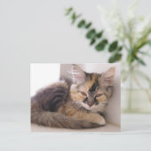 Tori Briefkaart (Staand voorkant)