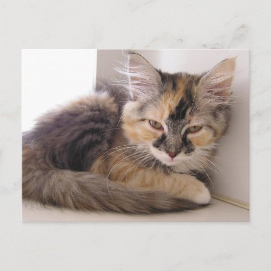 Tori Briefkaart (Voorkant)