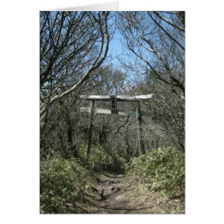 Torii-Unzendake-Nagasaki-ken-NY