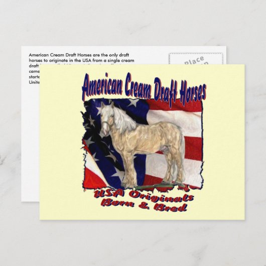 Torn Flag Cream Briefkaart (Voorkant / Achterkant)