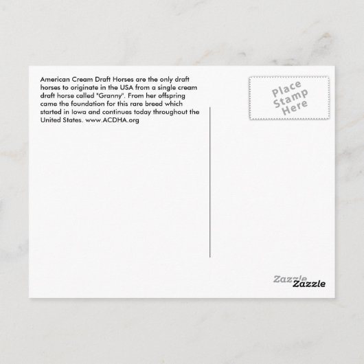 Torn Flag Cream Briefkaart (Achterkant)