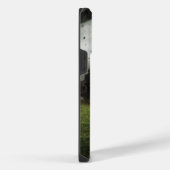 Tornado iPhone Hoesje (Rechterkant)
