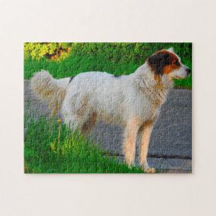 Tornjak Dog Jigsaws. Legpuzzel