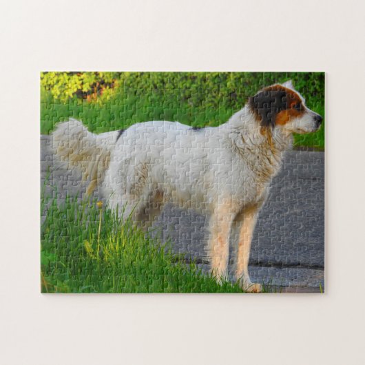 Tornjak Dog Jigsaws. Legpuzzel (Horizontaal)