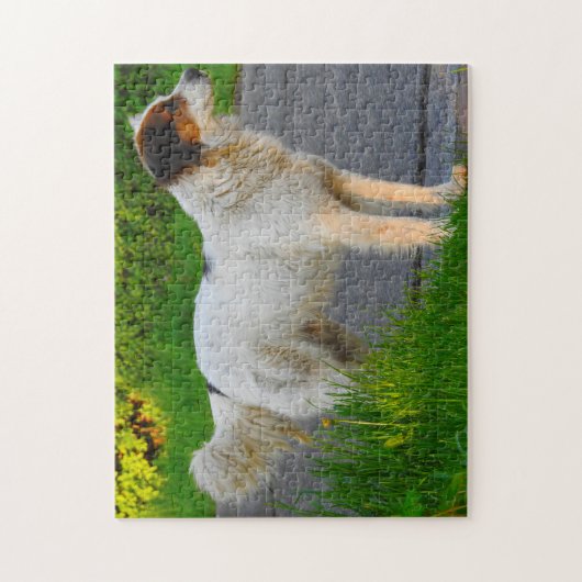 Tornjak Dog Jigsaws. Legpuzzel (Verticaal)